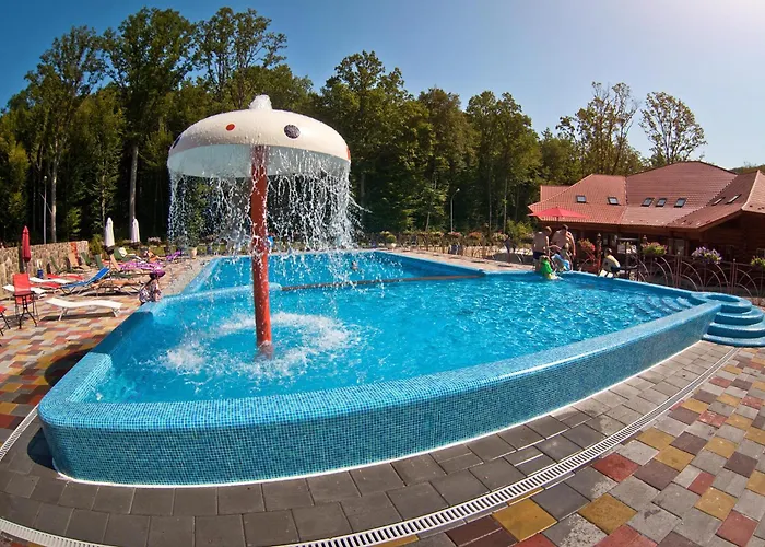 Solva Medical & 波利亚纳